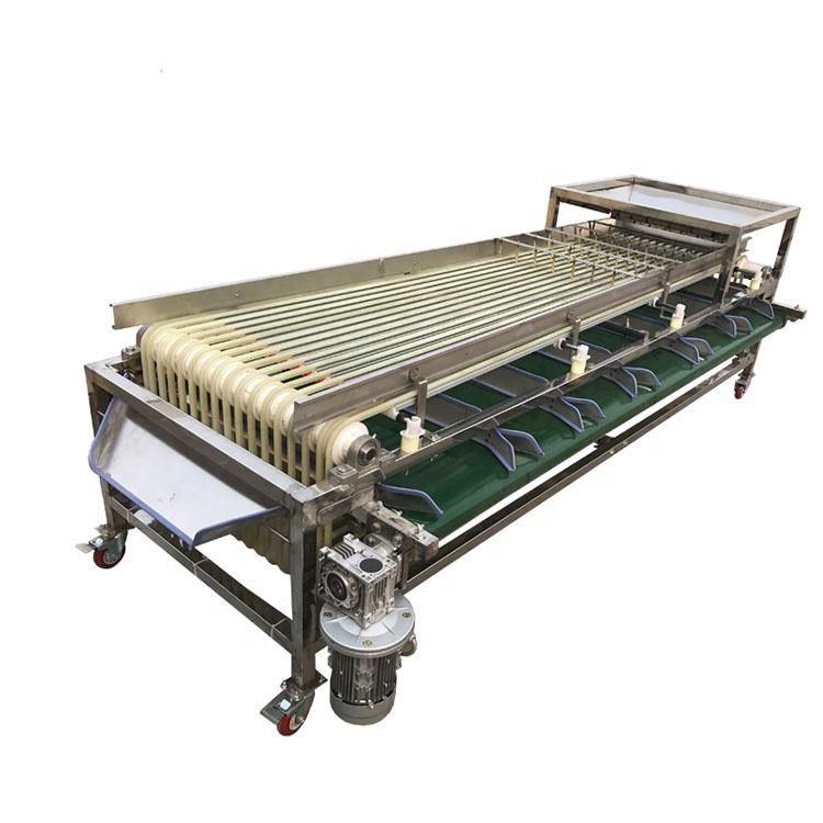 Clasificadora de la fruta de Olive Food Sorting Machine Industrial 1.5kw