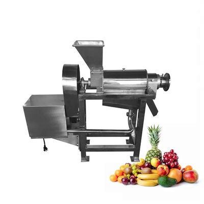 Automatic Apple Juicer Machine 100kg Juice Extractor Machine