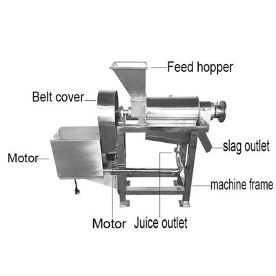 Automatic Apple Juicer Machine 100kg Juice Extractor Machine