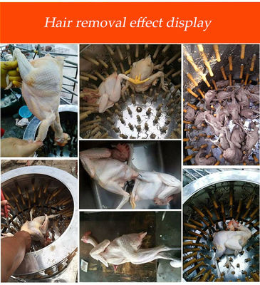 Stainless Steel Fowl Feather Removal Machine 40KG Feather Plucker Machine
