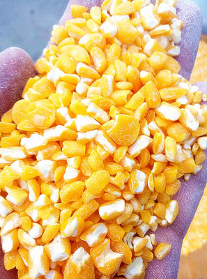 Multifunctional Corn Peeler Machine