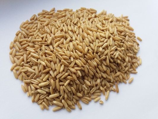 Centrifugal Oat Maize Shelling Machine 50HZ Oat Peeling Machine