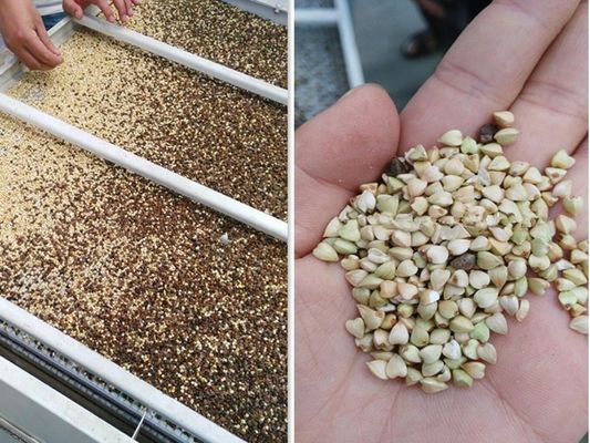 Buckwheat Peeling Grain Cutting Machine Automatic Huller Production Line