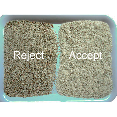 2 Channels Rice Sorting Machine