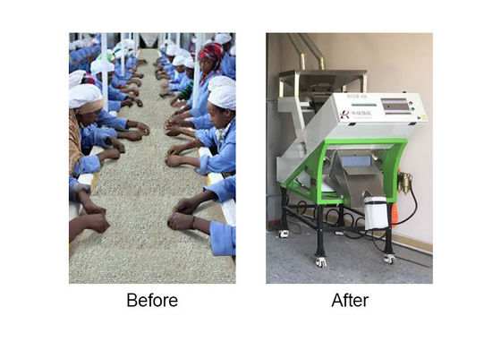2 Channels Rice Sorting Machine