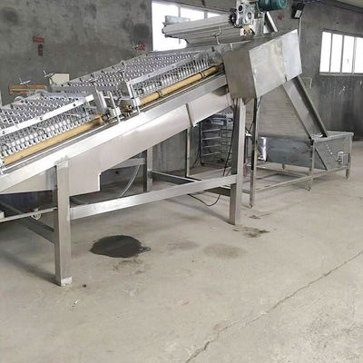 Automatic Shrimp Peeling Machine More Flexible Shrimp Peeler Machine