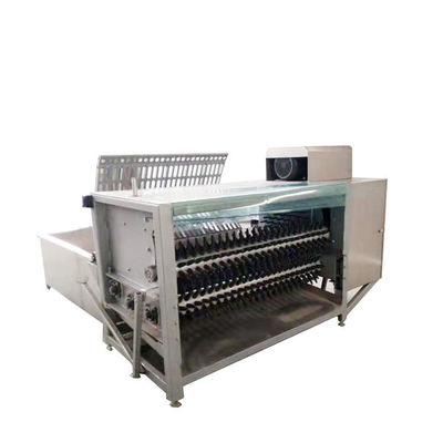 Roast Chicken Pig Hair Removal Machine