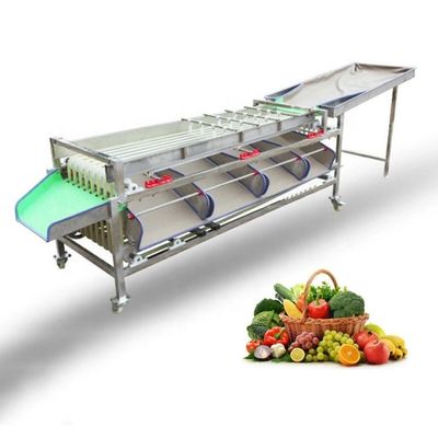 Macadamia Nut Roasting Machine Stainless Steel Fruit Sorting Grading Machine