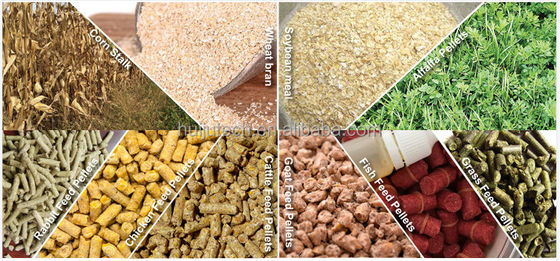 2 Ton Per Hour Fish Feed Making Machine Diesel Engine Pellet Maker Machine