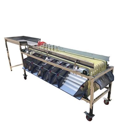 Olive Food Sorting Machine Industrial 1.5kw Fruit Sorting Machine