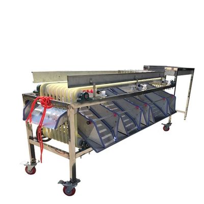 Olive Food Sorting Machine Industrial 1.5kw Fruit Sorting Machine