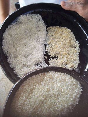220V Color Sorter Machine High Speed Rice Grading Machine Computing Updating