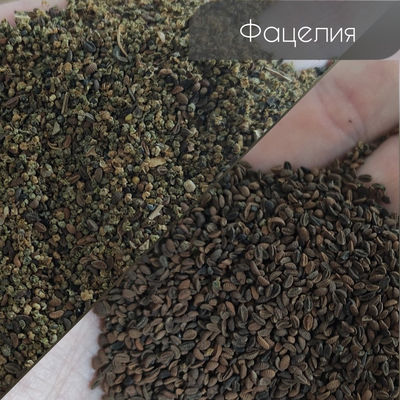 Ergonomic Design Color Sorter Machine