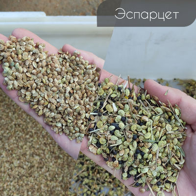 Ergonomic Design Color Sorter Machine