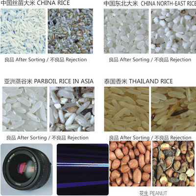 Coffee Beans Color Sorting Machine