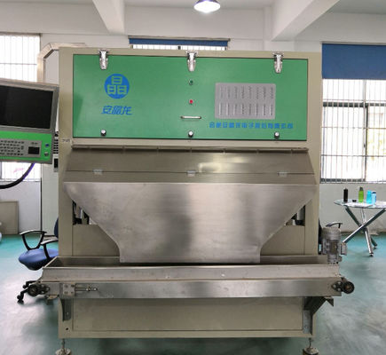 Hygienic Design Peanut Sorting Machine CCD Optical Color Sorter