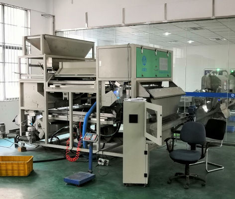 Hygienic Design Peanut Sorting Machine CCD Optical Color Sorter