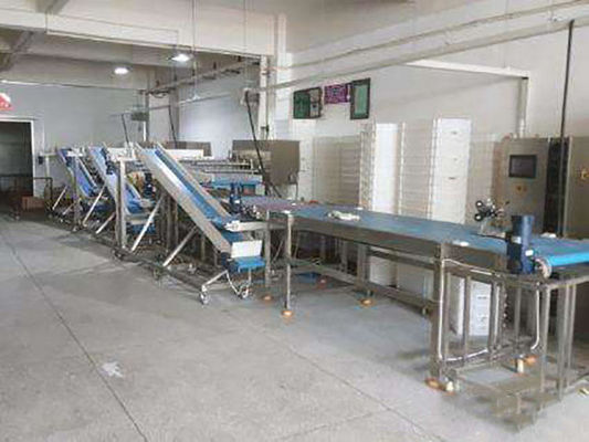 Volumetric Automatic Food Processing Machine Electric Hamburger Patty Forming