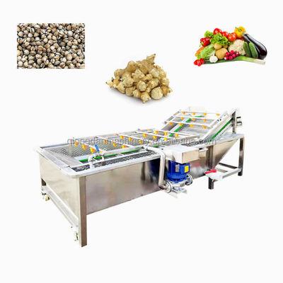 100kg/H Industrial Grade Fresh Vegetable Washing And Drying Machine SS304