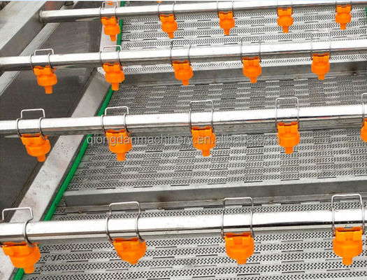 100kg/H Industrial Grade Fresh Vegetable Washing And Drying Machine SS304