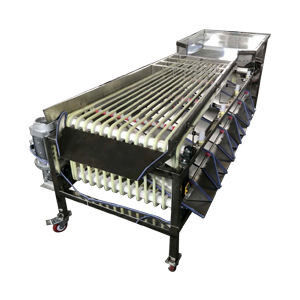 Wear Resistance Strawberry Processing Machine Vegetable Fruits Track Sorter Separator