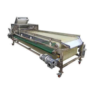 Wear Resistance Strawberry Processing Machine Vegetable Fruits Track Sorter Separator