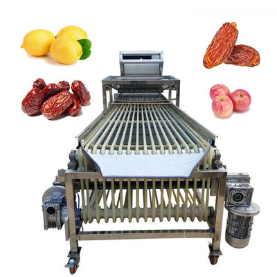 Wear Resistance Strawberry Processing Machine Vegetable Fruits Track Sorter Separator