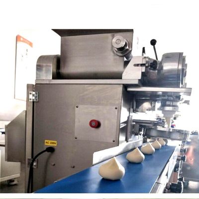 Rice Meat Dumplings Fish Ball Making Machine Full Automatic
