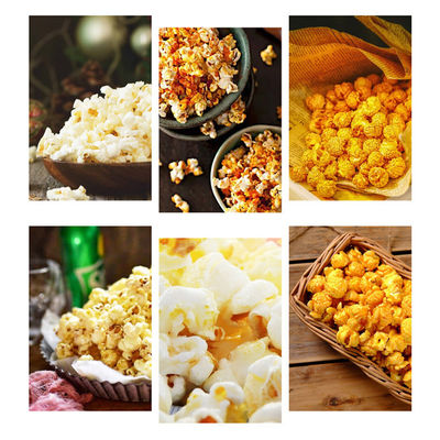 Stainless Steel Snack Food Machinery For Caramel Corn Popcorn