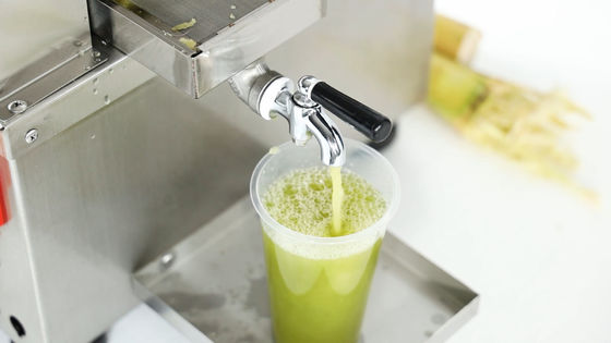 Multifunction SS 304 Vegetable Fruit Slicer , Potato Chopper Machine