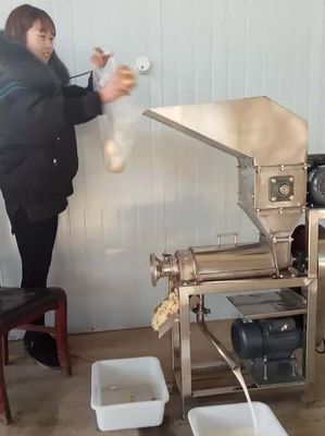 CE Stainless Steel Juice Crusher Machine 380v
