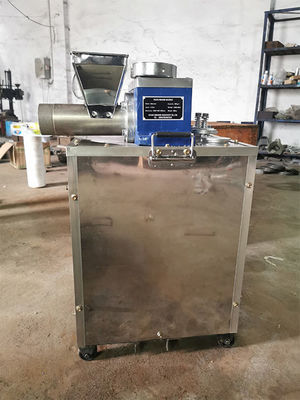 Electric Italian Macaroni Homemade Spaghetti Machine Customization