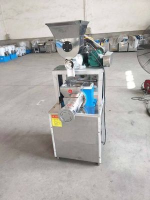 Professional Customized Spaghetti Making Machine Automatic Stainless Steel