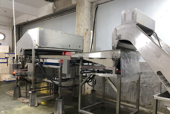 Peeling And Grading Shrimp Processing Machine Drum Type Shrimp Head Remover