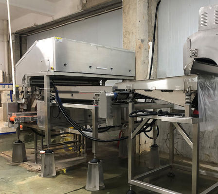 Peeling And Grading Shrimp Processing Machine Drum Type Shrimp Head Remover