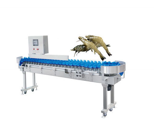 Stable Performance Fish Processing Machine Crawfish Oyster Sorting Machine