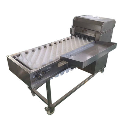 380v Fish Descaling Machine With Ce Approval