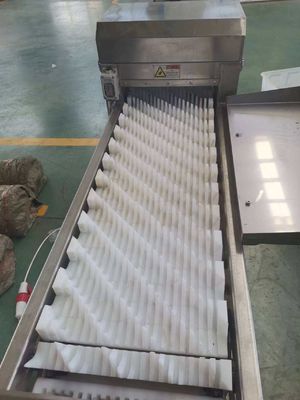 380v Fish Descaling Machine With Ce Approval
