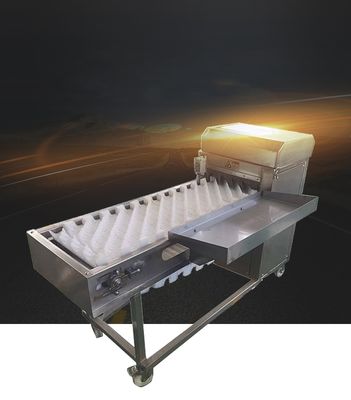 380v Fish Descaling Machine With Ce Approval