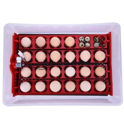 Equipped 24 Mini Turntable Automatic Incubators For Chicken And Bird Egg Care