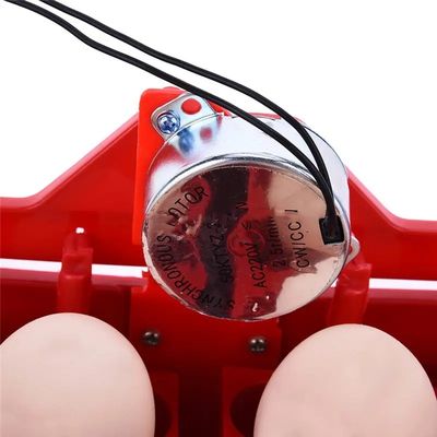 Equipped 24 Mini Turntable Automatic Incubators For Chicken And Bird Egg Care