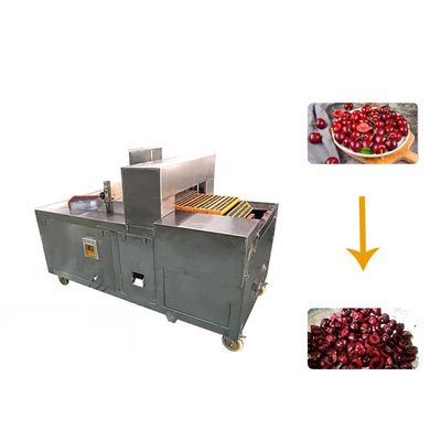 Commercial Fruit Core Seed Removing Cherry Pitting Machine