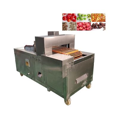 Commercial Fruit Core Seed Removing Cherry Pitting Machine