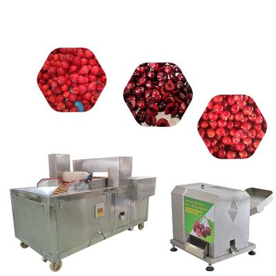 Commercial Fruit Core Seed Removing Cherry Pitting Machine