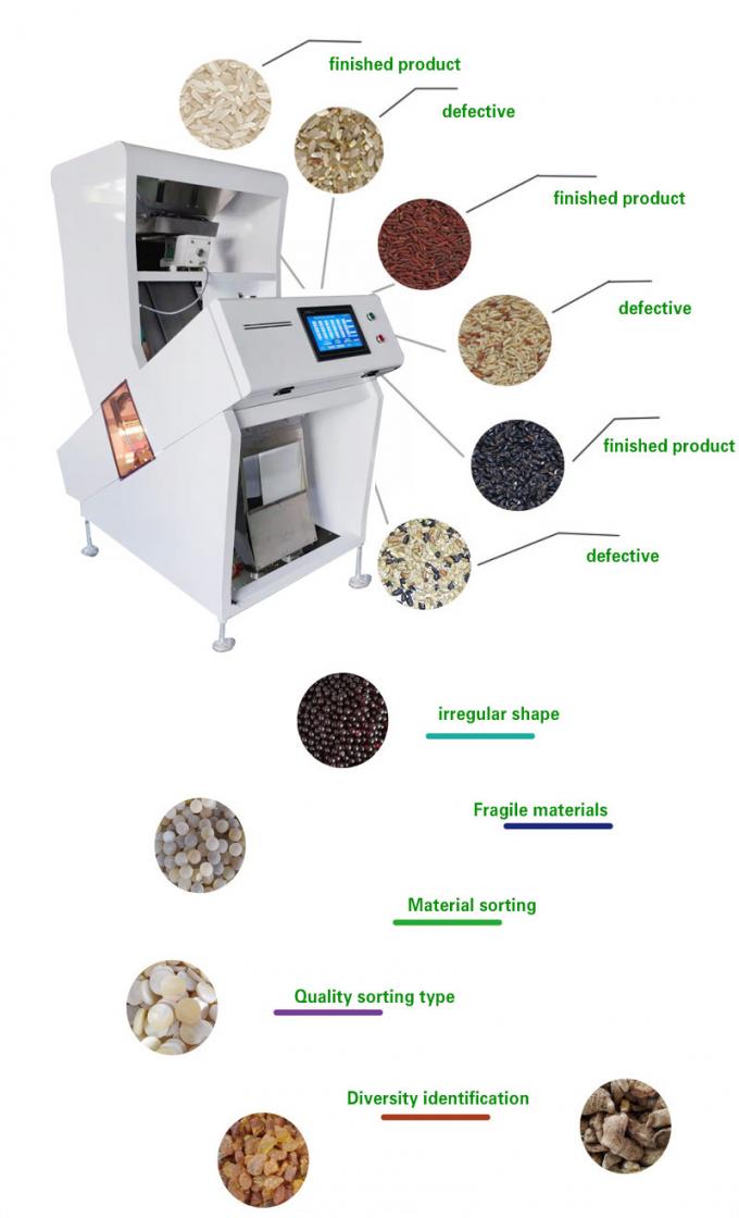 Multi Functional Cashew Nut Color Sorter Machine 50HZ To Sort Wheat Peanut
